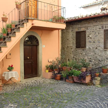 Camelia Borgo Trevignano 特雷维那诺罗马诺